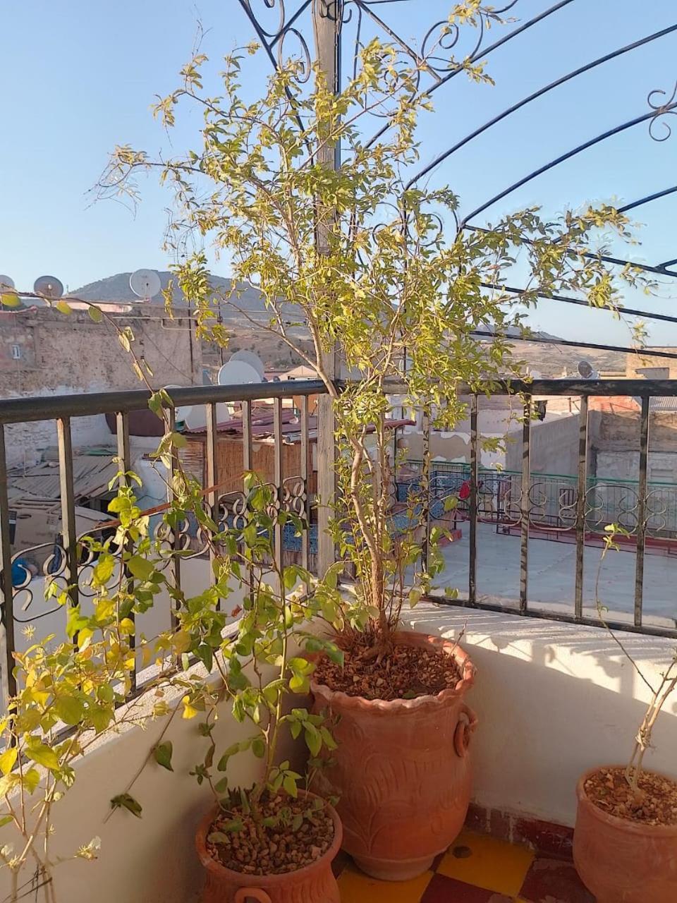 Riad Drissia Panoramic Fez Bagian luar foto